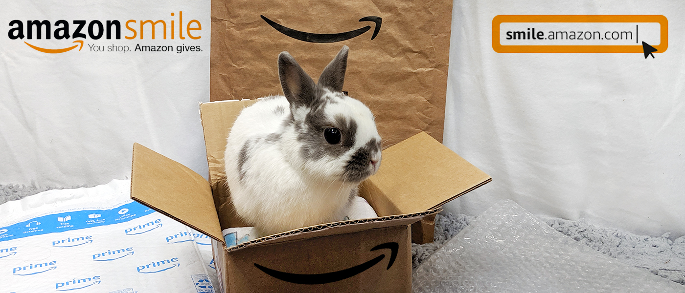 Amazon Smile Erie Area Rabbit Society And Rescue Ears Amazon Smile Erie Area Rabbit Society And Rescue Ears