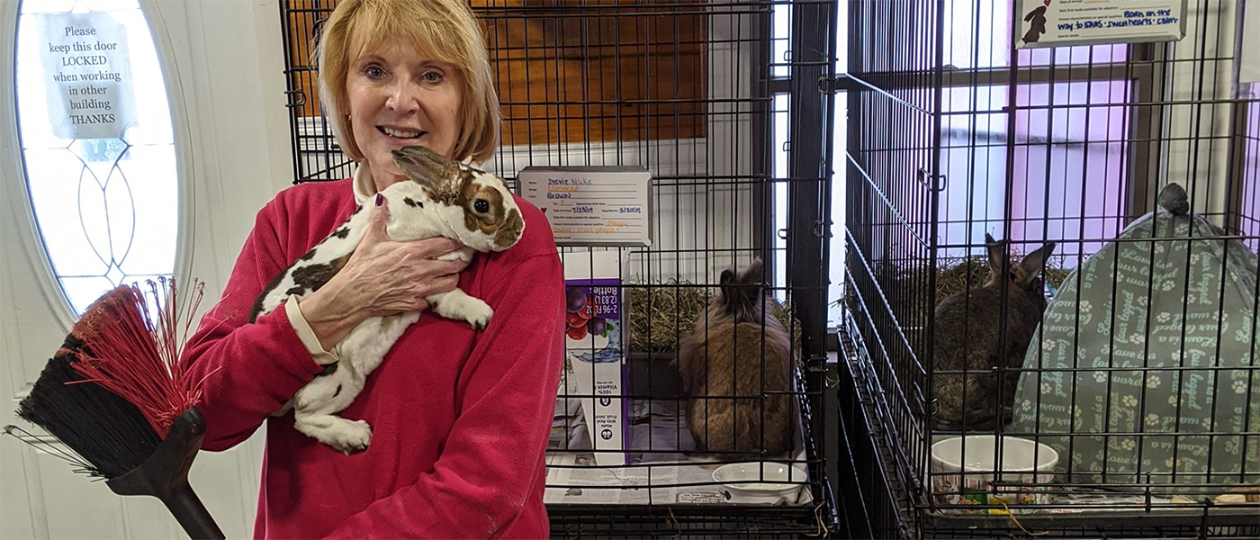 Volunteer – Erie Area Rabbit Society and Rescue (EARS)