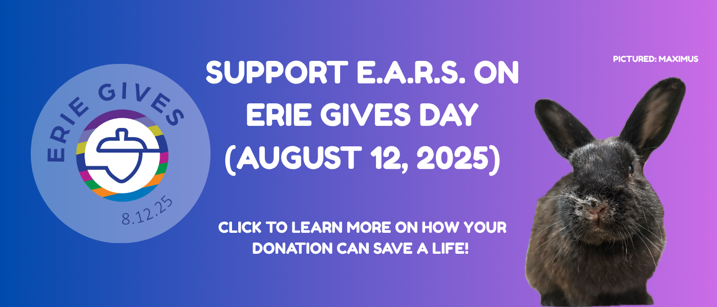 Support E.A.R.S. on Erie Gives Day 2025